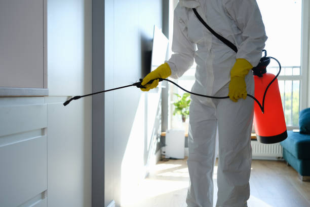 Attic Mold Removal in Wesley Hills, NY