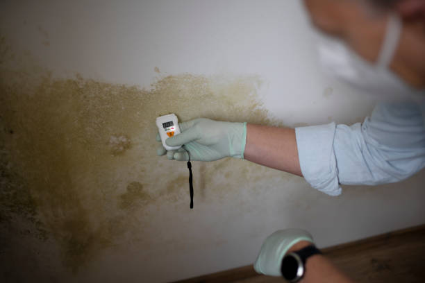Best Crawl Space Mold Removal  in Wesley Hills, NY