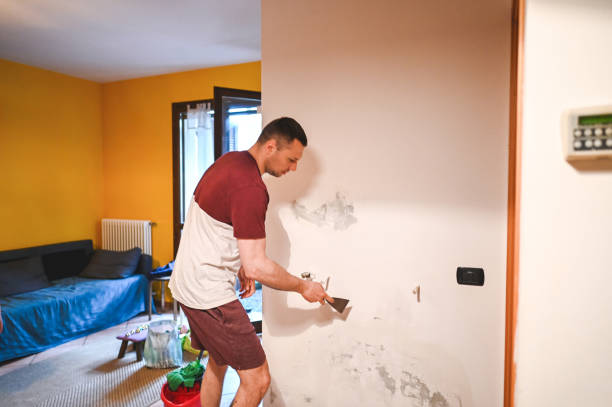 Best Attic Mold Removal  in Wesley Hills, NY